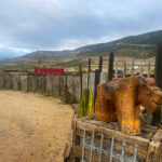 Terreno en venta - Condominio Terra Elqui - Rosario Oriente.