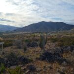🌵 Hermoso terreno en venta - Las Rojas- Valle de elqui