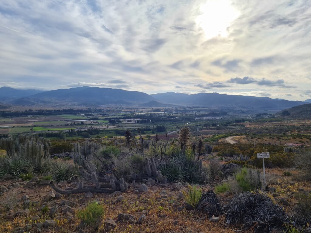 🌵 Hermoso terreno en venta - Las Rojas- Valle de elqui