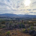 🌵 Hermoso terreno en venta - Las Rojas- Valle de elqui