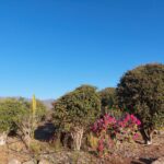 🍃HERMOSA PARCELA EN VENTA - 6.800m2, Condominio Don Osvaldo, Pan de Azúcar, Coquimbo.