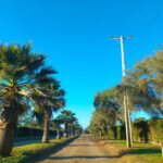 🍃HERMOSA PARCELA EN VENTA - 6.800m2, Condominio Don Osvaldo, Pan de Azúcar, Coquimbo.