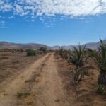 Terrenos 100 % planos!! - VENTA