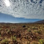 Terrenos 100 % planos!! - VENTA