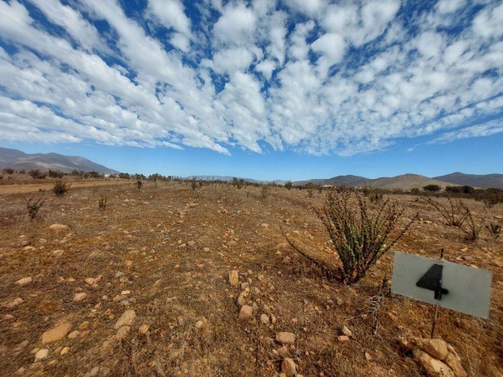 Terrenos 100 % planos!! - VENTA