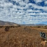 Terrenos 100 % planos!! - VENTA