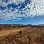 Terrenos 100 % planos!! - VENTA