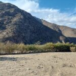 Espectacular terreno en venta! - El Molle