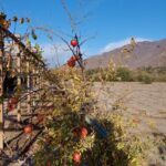 Espectacular terreno en venta! - El Molle