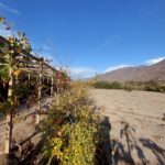 Espectacular terreno en venta! - El Molle