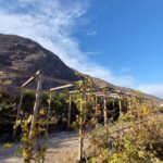 Espectacular terreno en venta! - El Molle