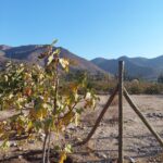 Espectacular terreno en venta! - El Molle