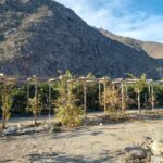 Espectacular terreno en venta! - El Molle