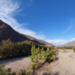 Espectacular terreno en venta! - El Molle