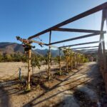 Espectacular terreno en venta! - El Molle