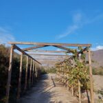 Espectacular terreno en venta! - El Molle