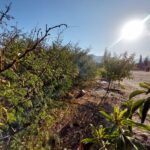 Espectacular terreno en venta! - El Molle