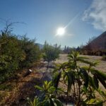 Espectacular terreno en venta! - El Molle