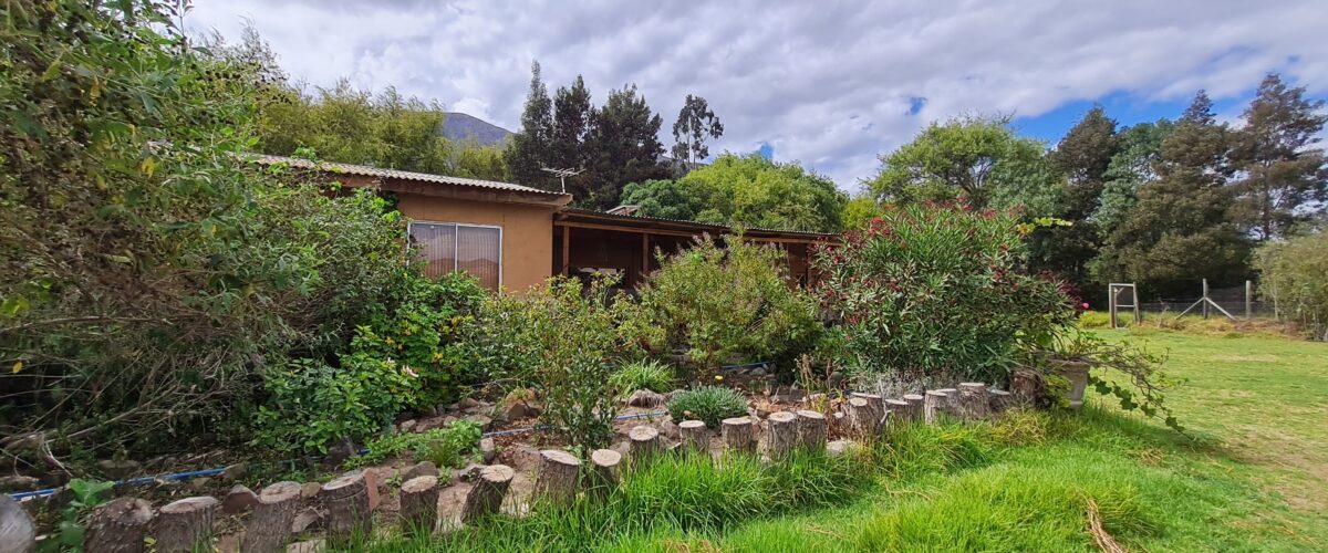 💥 Preciosa Parcela 100% plana en Venta - LAS ROJAS, VALLE DEL ELQUI.