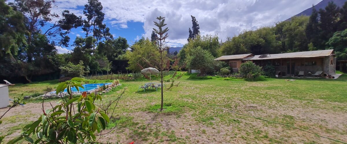 💥 Preciosa Parcela 100% plana en Venta - LAS ROJAS, VALLE DEL ELQUI.