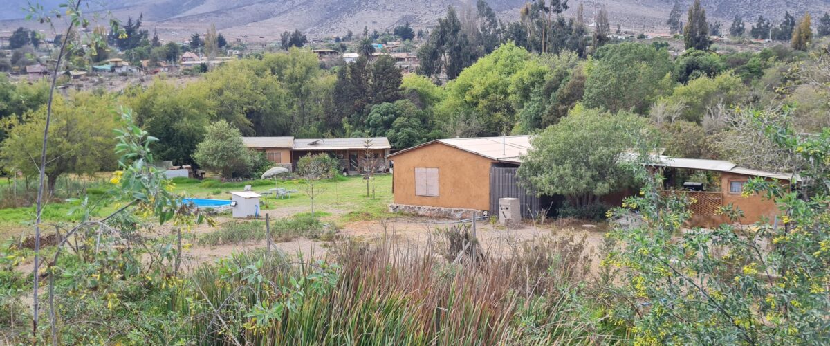 💥 Preciosa Parcela 100% plana en Venta - LAS ROJAS, VALLE DEL ELQUI.