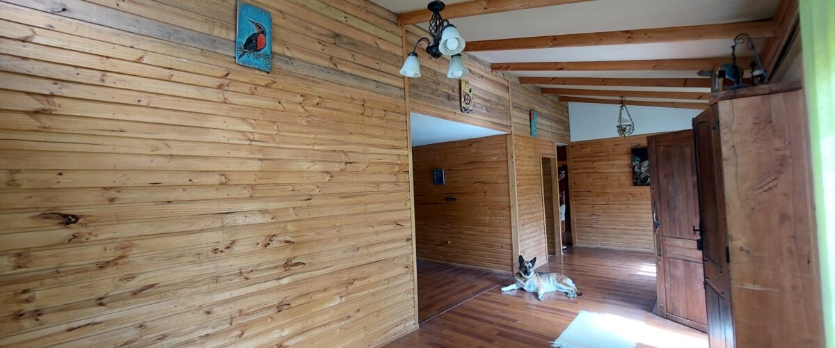 💥 Preciosa Parcela 100% plana en Venta - LAS ROJAS, VALLE DEL ELQUI.