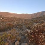 🌅 SE VENDE TERRENO EN CONDOMINIO BAHÍA DE ROCAS | ARRAYÁN COSTERO