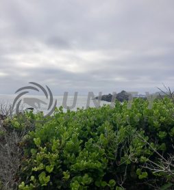 TERRENO CON VISTA AL OCÉANO EN BAHÍA DE ROCAS – SECTOR ARRAYÁN COSTERO