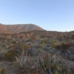 🌅 SE VENDE TERRENO EN CONDOMINIO BAHÍA DE ROCAS | ARRAYÁN COSTERO