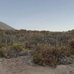 🌅 SE VENDE TERRENO EN CONDOMINIO BAHÍA DE ROCAS | ARRAYÁN COSTERO