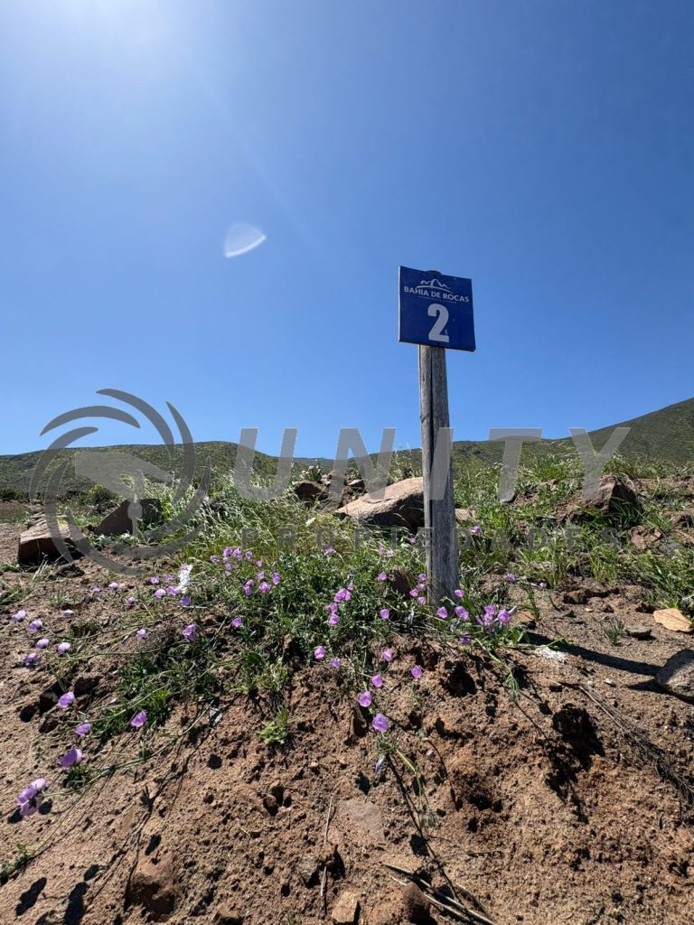 TERRENO CON VISTA AL OCÉANO EN BAHÍA DE ROCAS – SECTOR ARRAYÁN COSTERO