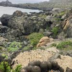 🌅 SE VENDE TERRENO EN CONDOMINIO BAHÍA DE ROCAS | ARRAYÁN COSTERO