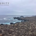 🌅 SE VENDE TERRENO EN CONDOMINIO BAHÍA DE ROCAS | ARRAYÁN COSTERO