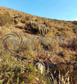 🌄 Terreno en Venta – 6,8 Hectáreas 📍 Sector Cajón del Romero Alto – La Serena.