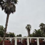 🌊 Departamento en arriendo MARZO A DICIEMBRE – Avenida del Mar 2900, La Serena.