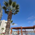 🌅Despierta cada día con el sonido del mar y una vista increíble.