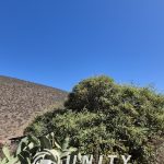 🌿 VENTA TERRENO CON 2 CASAS – COMUNIDAD LOS COPAOS LA SERENA.