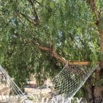 🌿 VENTA TERRENO CON 2 CASAS – COMUNIDAD LOS COPAOS LA SERENA.