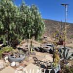 🌿 VENTA TERRENO CON 2 CASAS – COMUNIDAD LOS COPAOS LA SERENA.