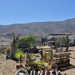 🌿 VENTA TERRENO CON 2 CASAS – COMUNIDAD LOS COPAOS LA SERENA.