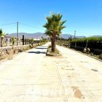 🌴 Se vende excelente parcela de 5.000 m² ubicada en sector Pan de Azúcar, Loteo Reserva Ripamonti, Coquimbo.