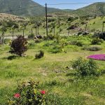 🏘️ Hermosa parcela en venta – San José de Bellavista, Las Rojas | La Serena.