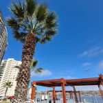 🌊VENTA DEPARTAMENTO EN PRIMERA LÍNEA PLAYA LA HERRADURA.