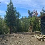 PARCELAS EN CHILOÉ CON CRÉDITO DIRECTO | PIE DESDE $5.000.000 🏡
