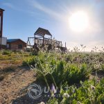 🌵 PROYECTO TURÍSTICO EN VENTA TRES ISLAS, PUNTA DE CHOROS 🌊