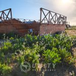 🌵 PROYECTO TURÍSTICO EN VENTA TRES ISLAS, PUNTA DE CHOROS 🌊