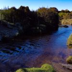Terreno de 303,64 Hectáreas en Venta | Quichitué, Ancud – Chiloé