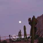 🌵 PROYECTO TURÍSTICO EN VENTA TRES ISLAS, PUNTA DE CHOROS 🌊