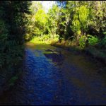 Terreno de 303,64 Hectáreas en Venta | Quichitué, Ancud – Chiloé