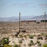 🌵 PROYECTO TURÍSTICO EN VENTA TRES ISLAS, PUNTA DE CHOROS 🌊
